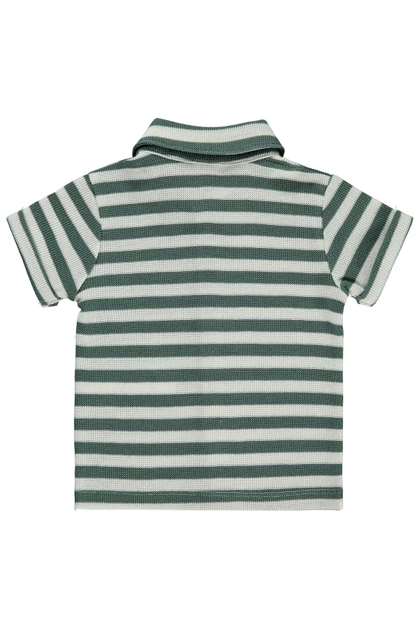 Baby Shirt 0-24 Months Pine Green - Pack Baby Shirt 0-24 Months Pine Green - Pack