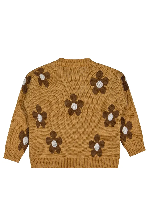 Girl Sweater 2-5 Years Old Biscuit - Package