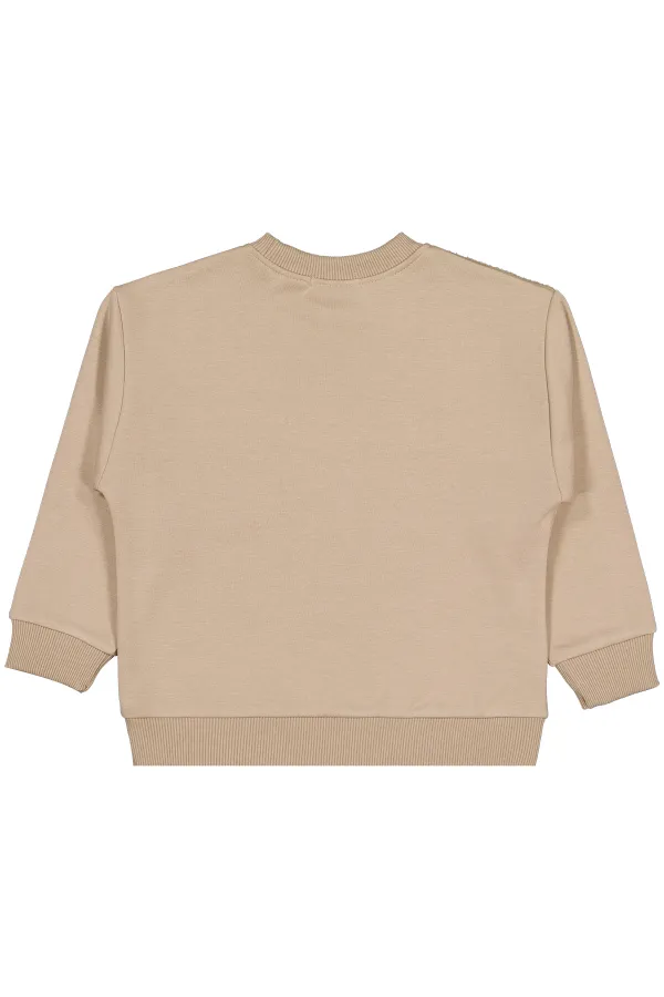 Erkek Çocuk Sweatshirt 2-5 Yaş Açık Kahve - Paket