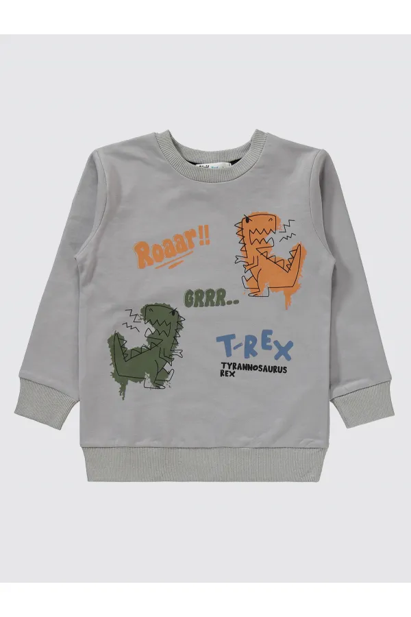 Boys Tracksuit Set 2-5 Years Old Gray - Package