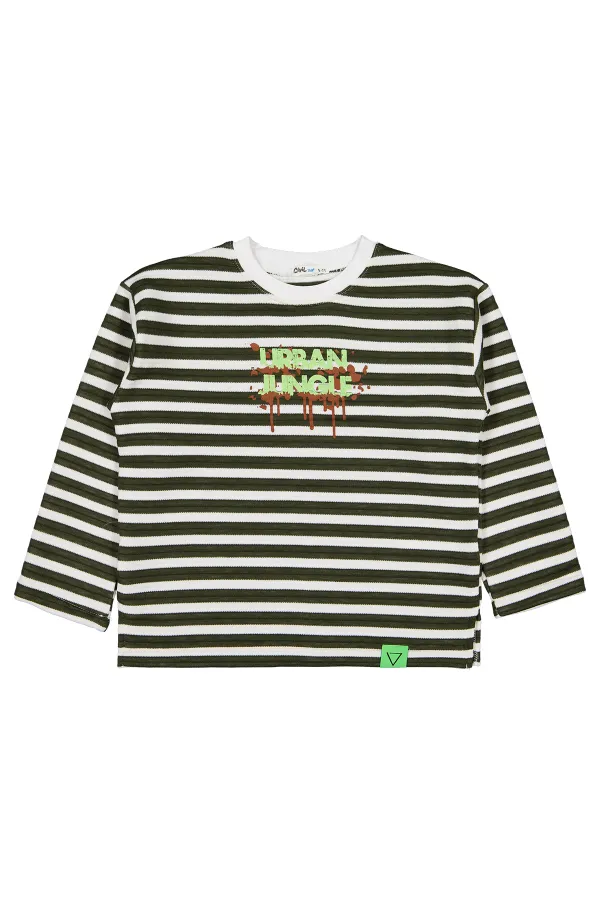 Erkek Çocuk Sweatshirt 6-9 Yaş Yeşil - Paket