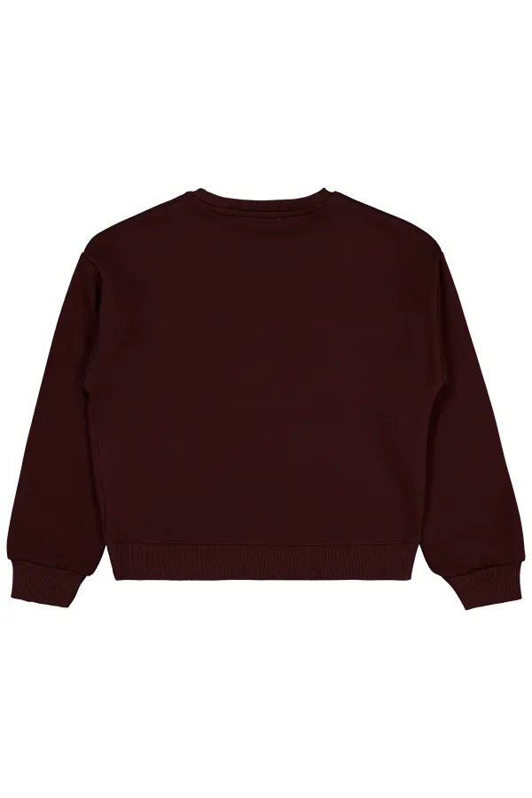 Sweat-shirt marron pour fille de 10 à 13 ans - Emballage