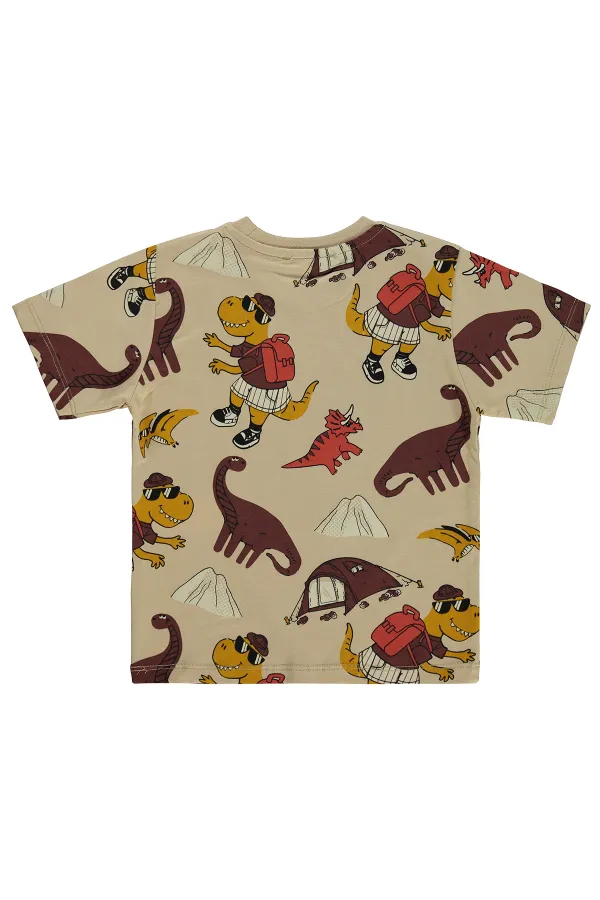 T-shirt garçon, 2-5 ans, couleur vison - Lot