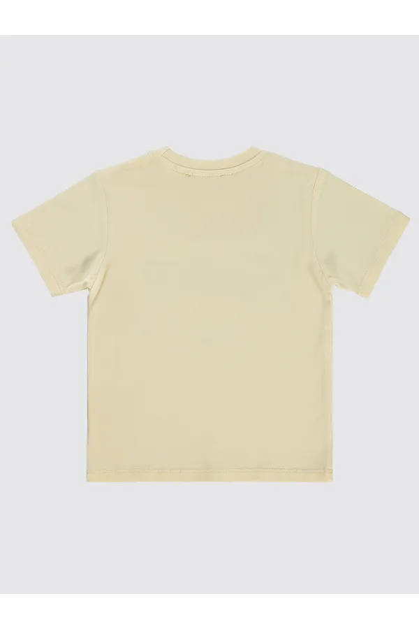 Erkek Çocuk Tişört 2-5 Yaş Taş Rengi - Paket