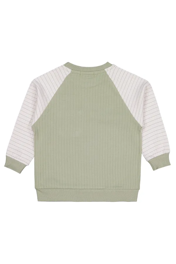 Erkek Çocuk Sweatshirt 2-5 Yaş Yeşil - Paket