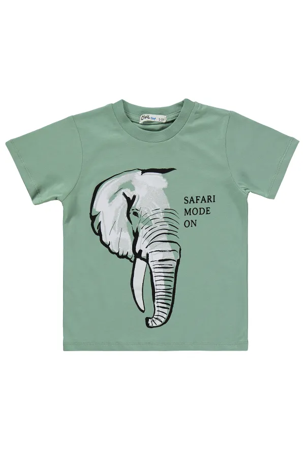 Erkek Çocuk Takım 2-5 Yaş Yeşil - Paket