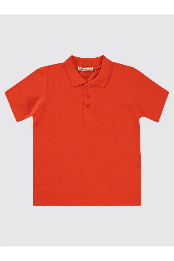 Erkek Çocuk Tişört 6-9 Yaş Nar - Paket