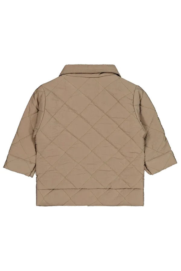 Veste bébé 0-24 mois kaki - Lot