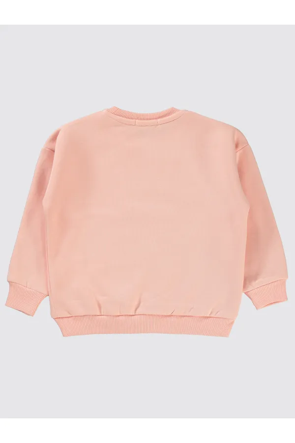 Kız Çocuk Sweatshirt 2-5 Yaş Pudra - Paket
