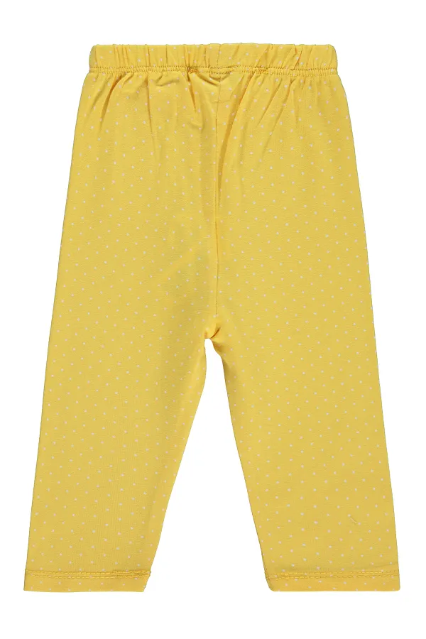 Baby Leggings 0-24 Months Dark Yellow - Pack