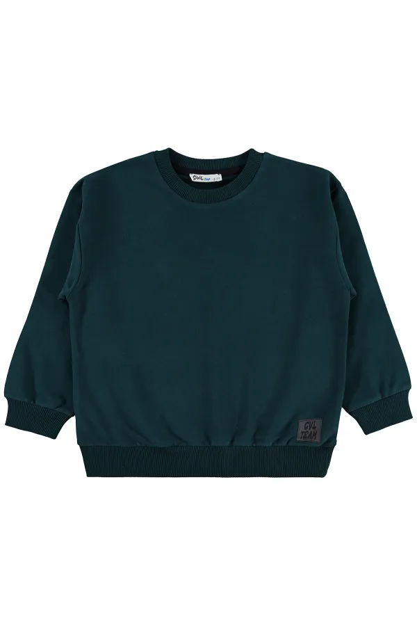 Sweat-shirt garçon 6-9 ans vert mousse foncé - Lot