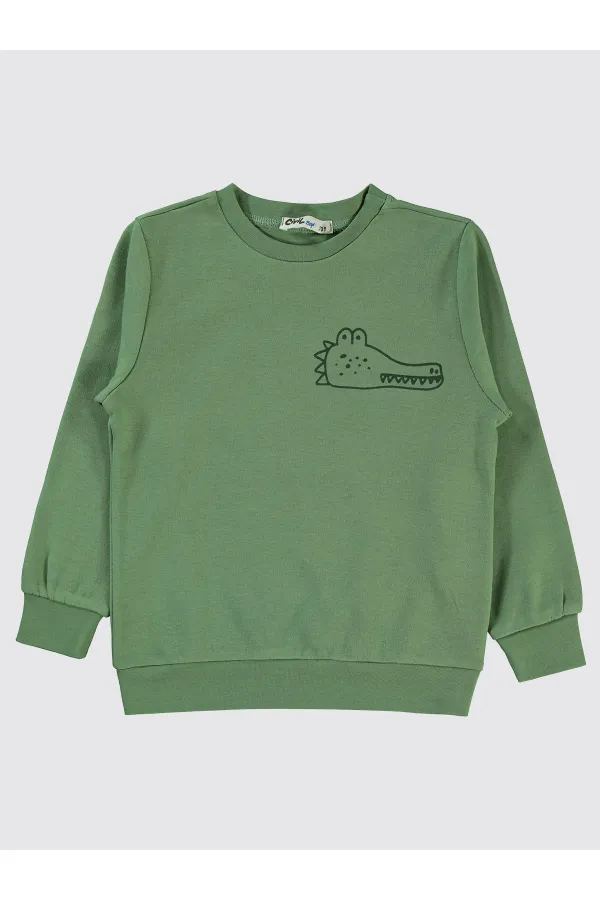 Erkek Çocuk Sweatshirt 2-5 Yaş Açık Haki - Paket