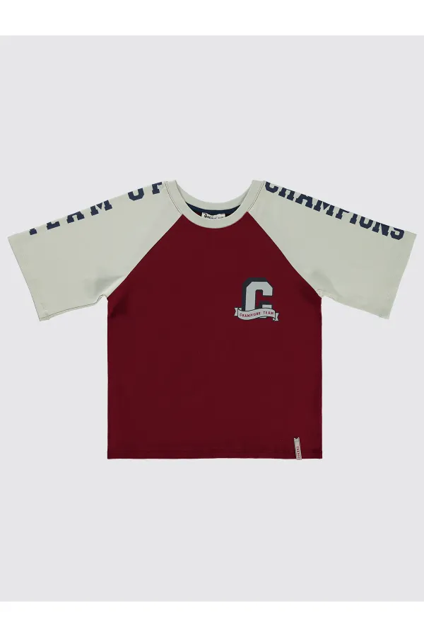 Erkek Çocuk Tişört 6-9 Yaş Bordo - Paket