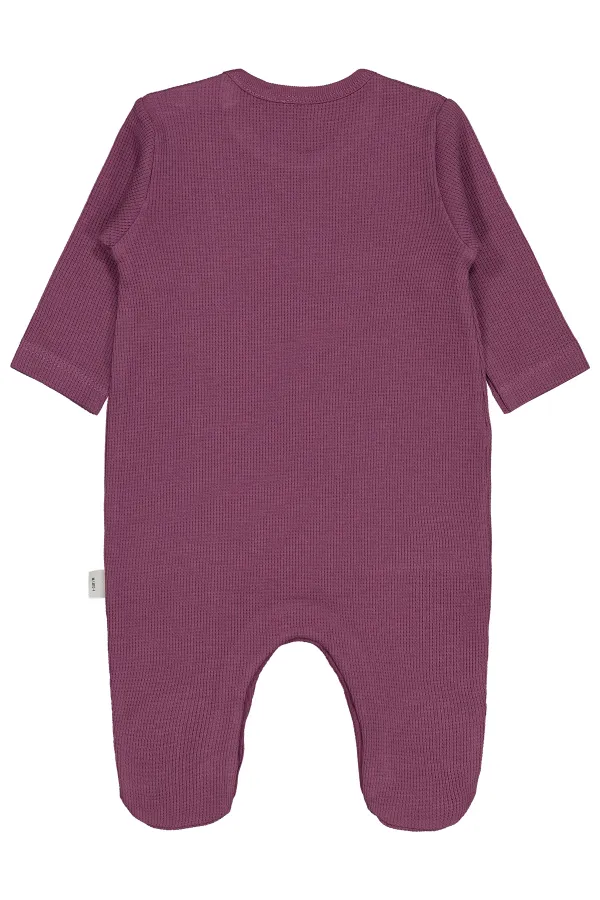 Bebek Tulum 0-24 Ay Gül Kurusu - Paket