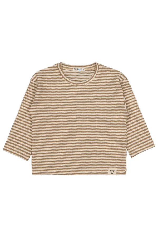 Boys Sweatshirt 2-5 Years Old Brown - Package