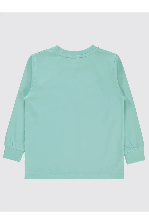 Erkek Çocuk Sweatshirt 2-5 Yaş Turkuaz - Paket