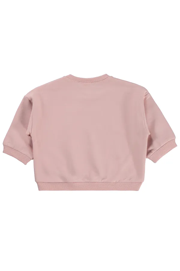 Bebek Sweatshirt 0-24 Ay Pudra Pembesi - Paket