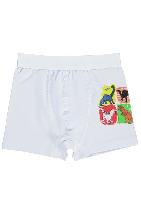 Erkek Çocuk Boxer 2-9 Yaş Standart - Paket