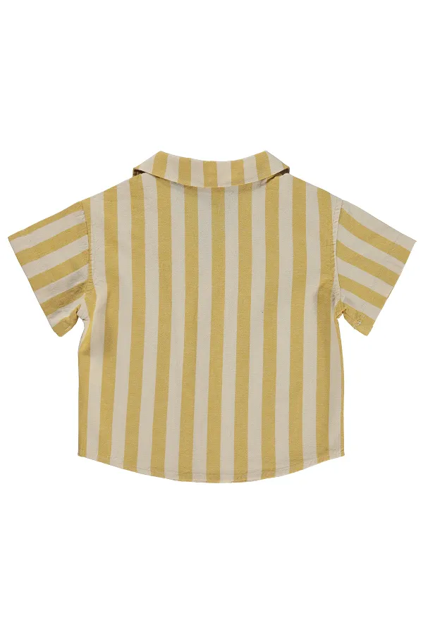 Bebek Gömlek 0-24 Ay Hardal - Paket