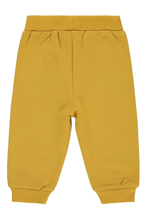 Baby Sweatpants 0-24 Months Mustard - Pack