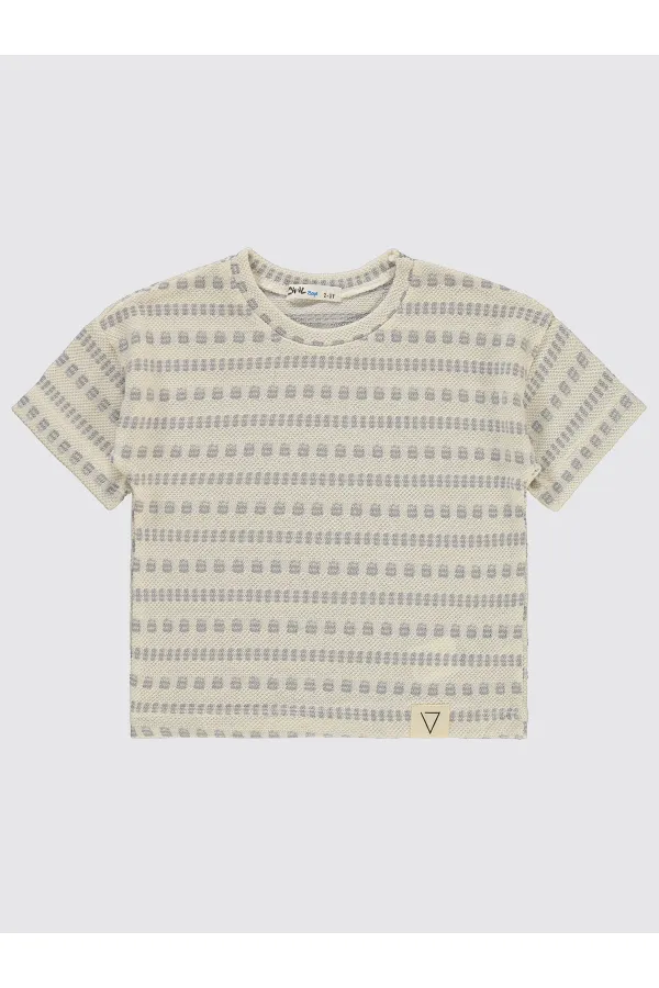 Lot de T-shirts gris pour garçon de 2 à 5 ans