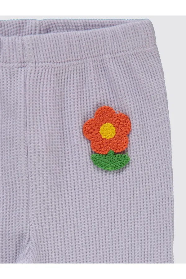 Collants bébé 0-24 mois lilas - Lot