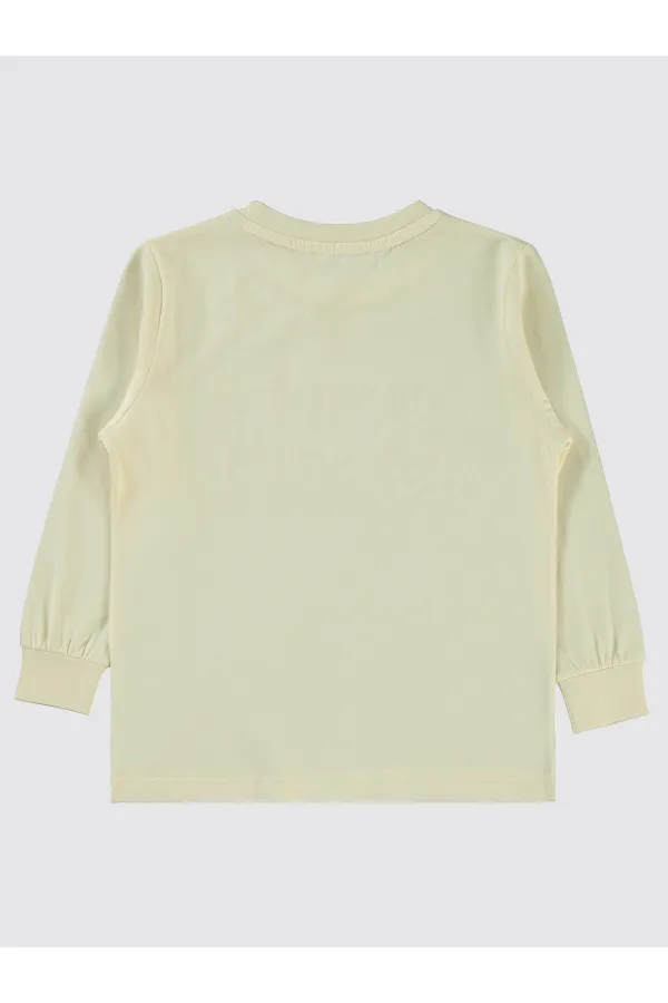 Erkek Çocuk Sweatshirt 2-5 Yaş FilDişi - Paket