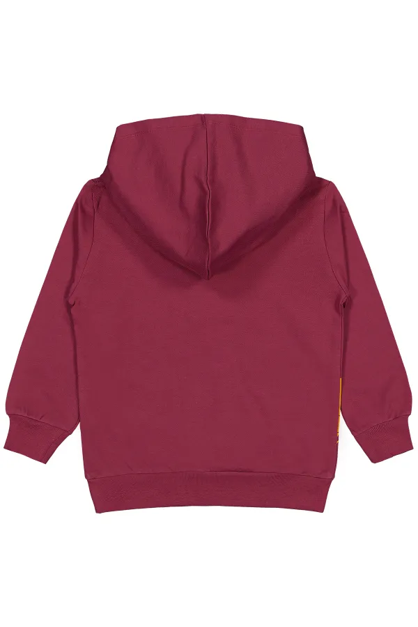 Boy Sweatshirt 2-5 Years Old Burgundy - Package
