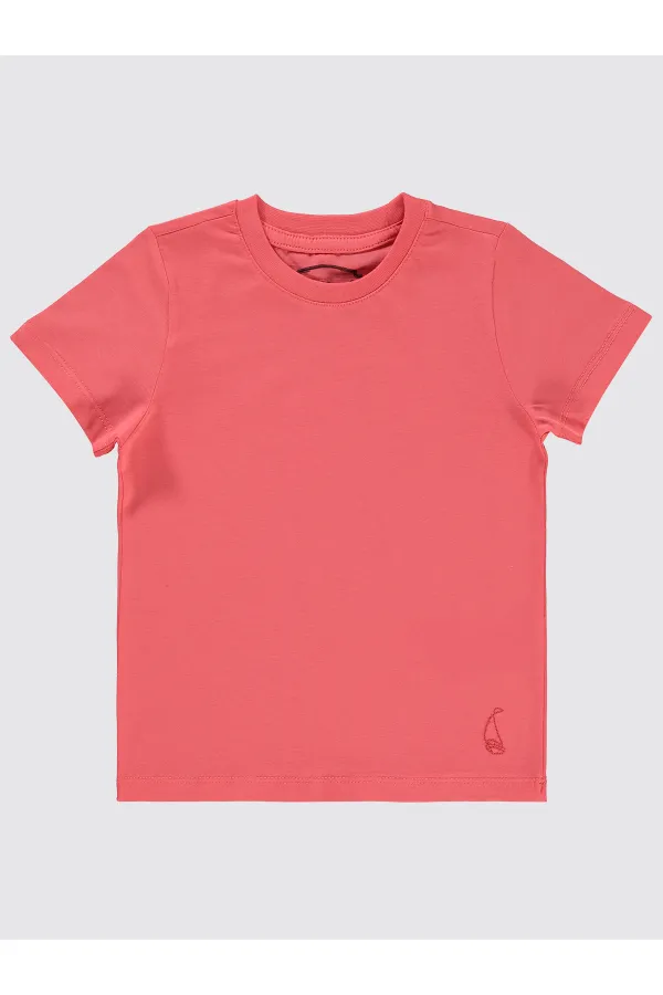 Erkek Çocuk Tişört 2-5 Yaş Yavruagzı - Paket