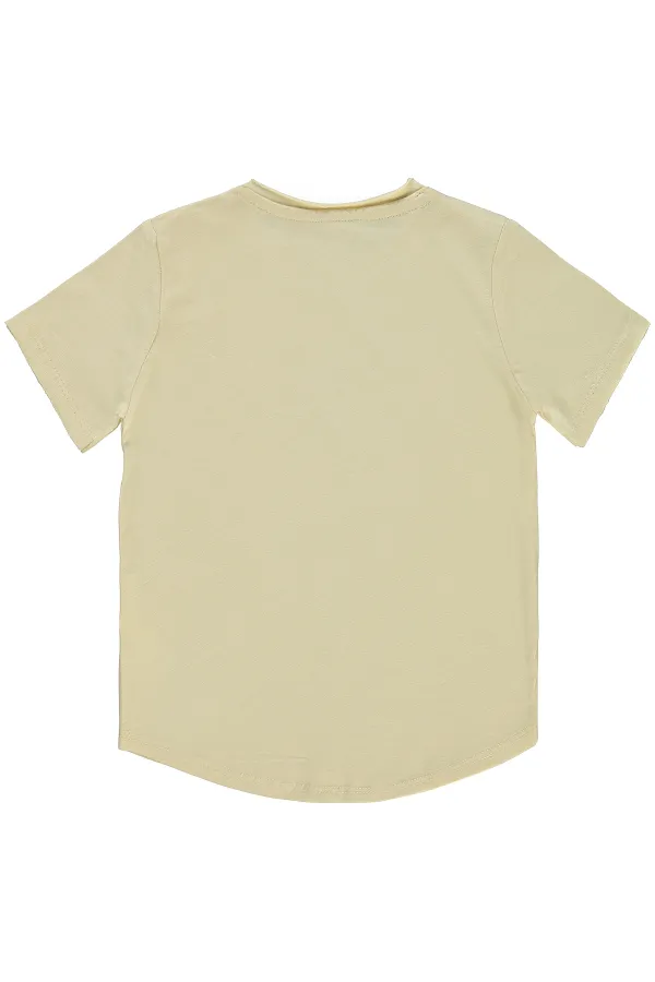 T-shirt garçon 2-5 ans couleur pierre - Lot