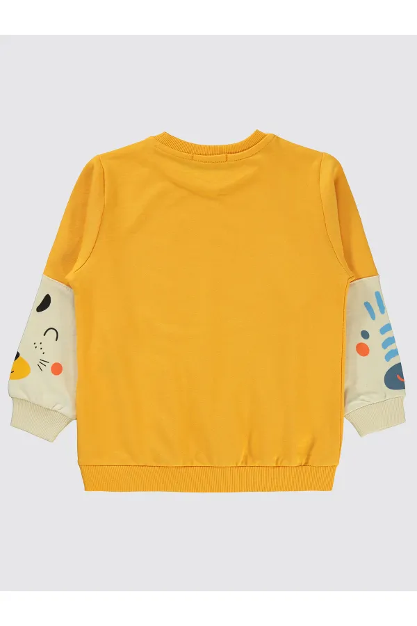 Boy Sweatshirt 2-5 Years Mustard - Pack