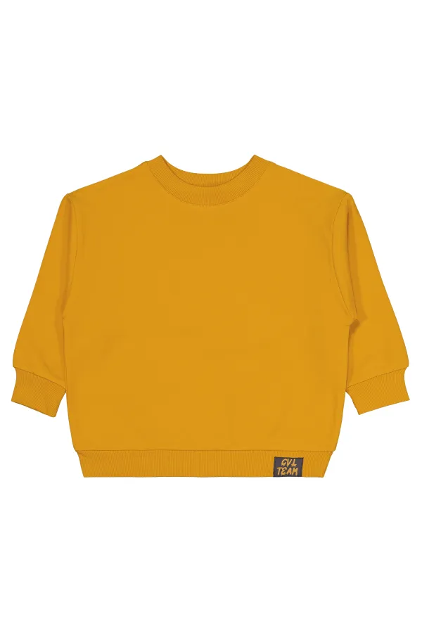 Boy Sweatshirt 2-5 Years Mustard - Pack