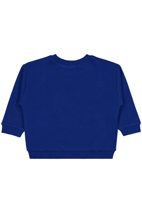 Erkek Çocuk Sweatshirt 2-5 Yaş Saks - Paket