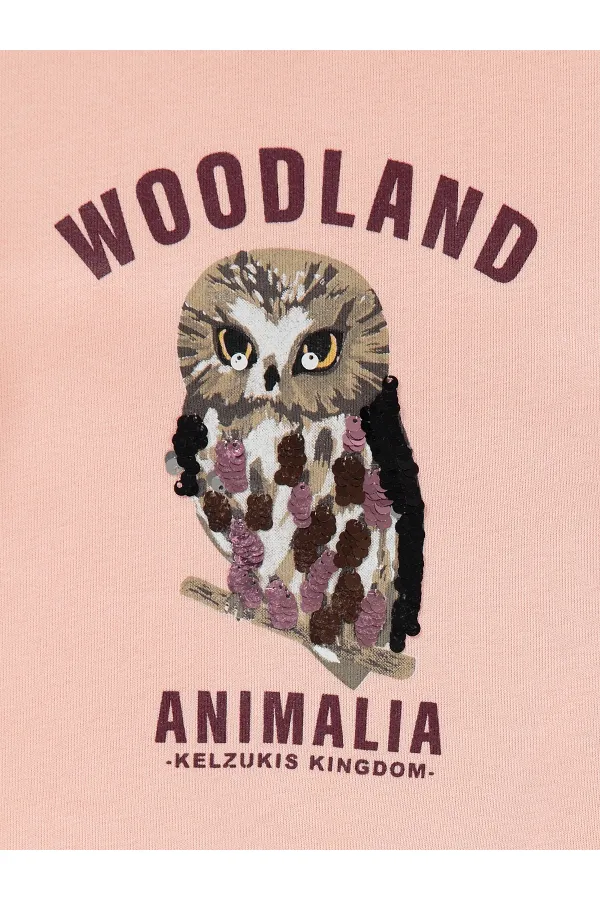 Kız Çocuk Sweatshirt 2-5 Yaş Pudra - Paket