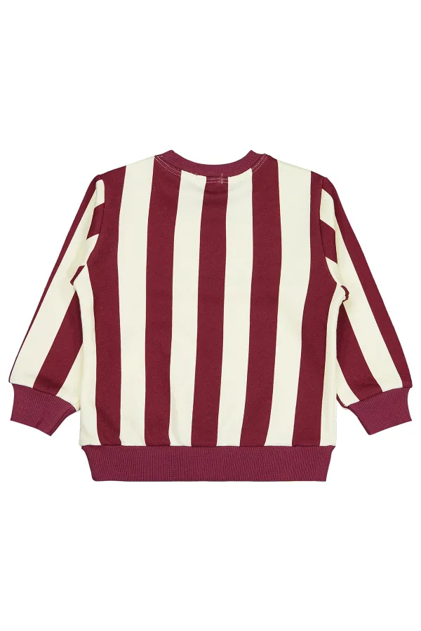 Boys Sweatshirt 2-5 Years Old Burgundy - Package
