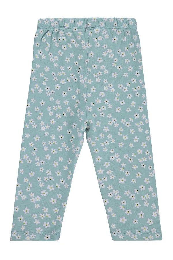 Baby Leggings 0-24 Months Mint - Pack