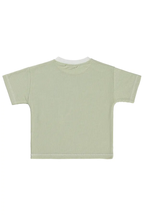 T-shirt garçon, 2-5 ans, vert clair - Lot