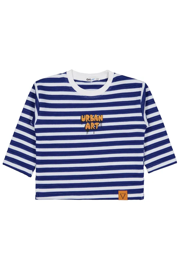 Erkek Çocuk Sweatshirt 2-5 Yaş Saks - Paket