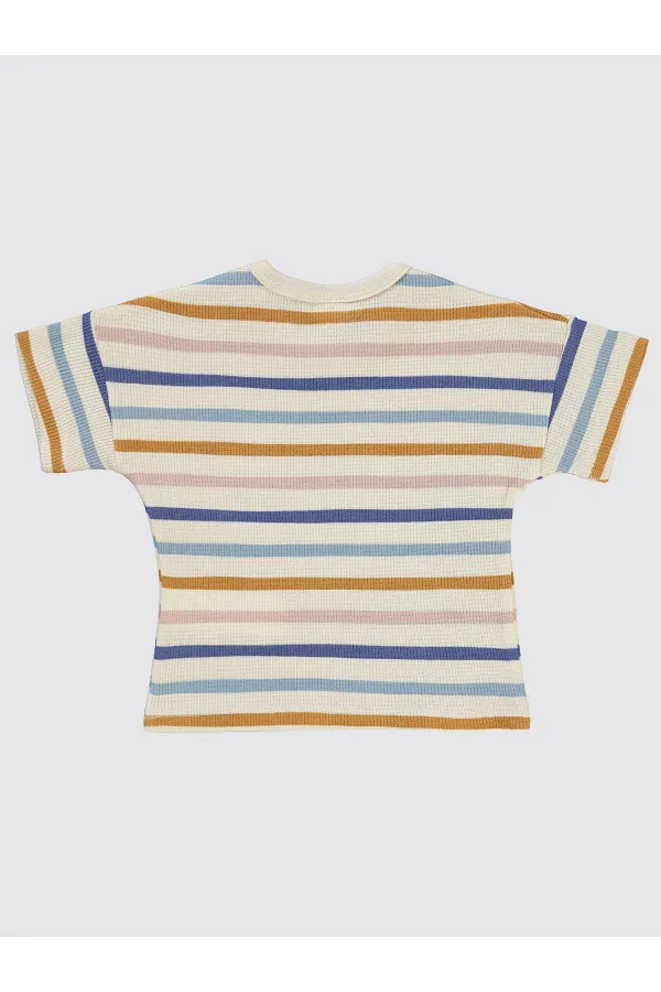 Bebek Tişört 0-24 Ay FilDişi - Paket