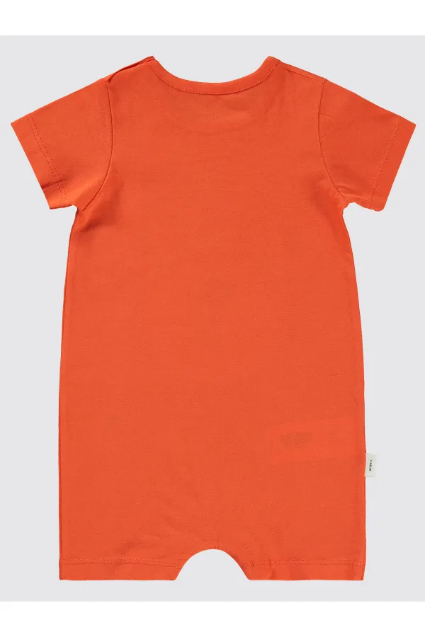 Bebek Tulum 0-24 Ay Nar Çiçeği - Paket