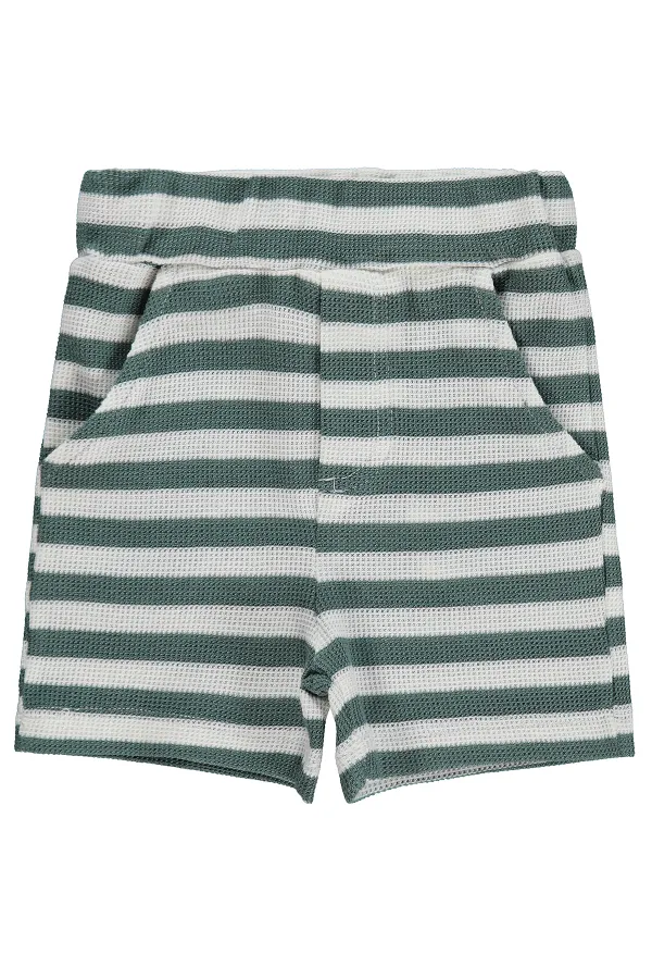 Short bébé 0-24 mois vert pin - Lot