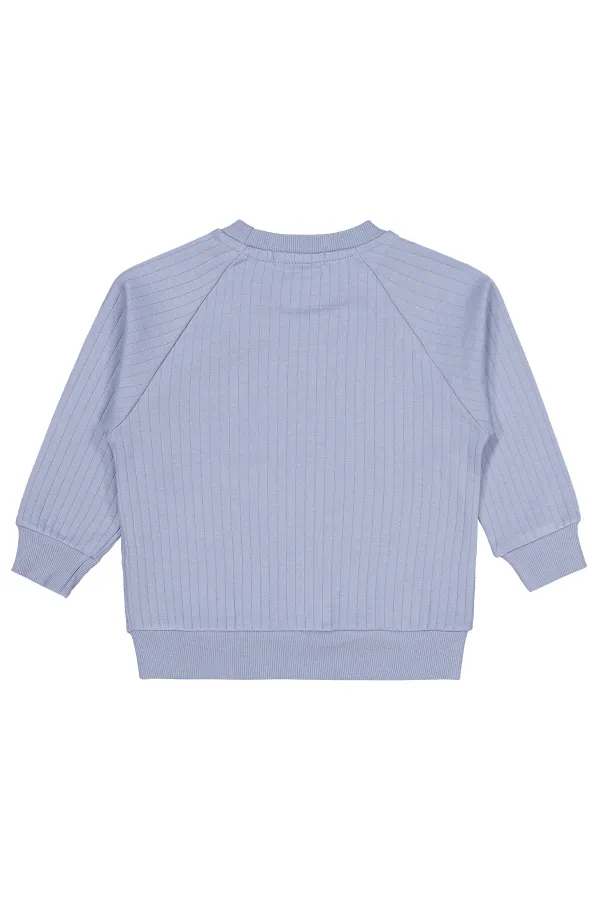 Boy Sweatshirt 2-5 Years Blue - Package