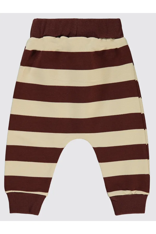 Baby Sweatpants 0-24 Months Chocolate Brown - Pack