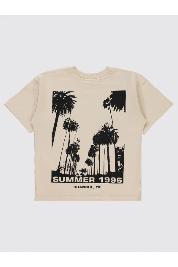 Boys T-Shirt 6-9 Years Old Stone Color - Pack