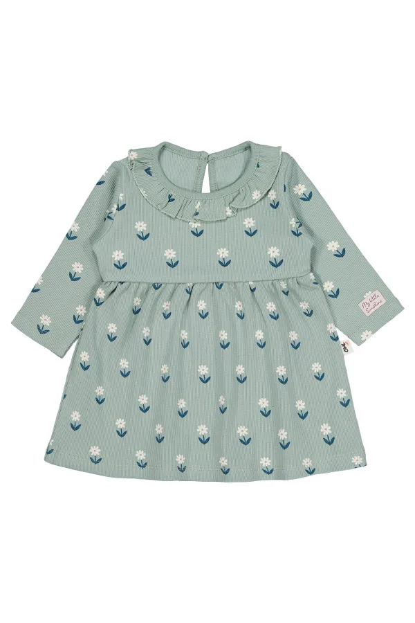 Bebek Jile ve Elbise 0-24 Ay Çağla Yeşili - Paket