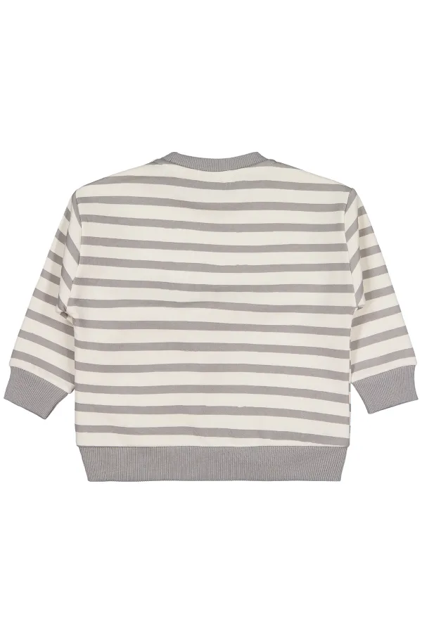 Erkek Çocuk Sweatshirt 2-5 Yaş Gri - Paket