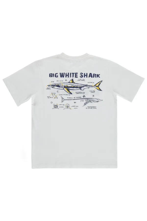 T-shirt garçon, 10-13 ans, blanc cassé - Emballage