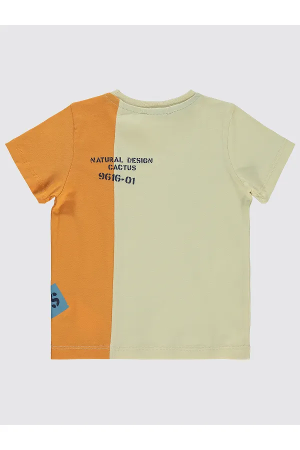 T-shirt garçon 2-5 ans couleur pierre - Lot