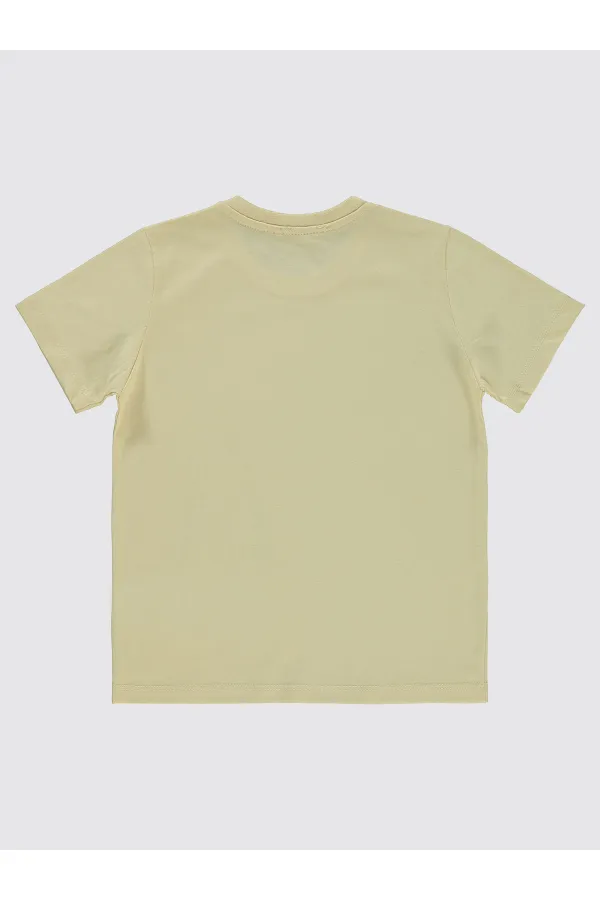 Boys T-Shirt 6-9 Years Old Stone Color - Pack