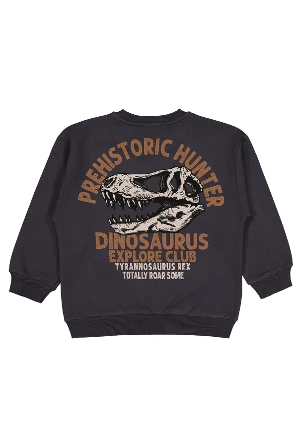 Erkek Çocuk Sweatshirt 6-9 Yaş Antrasit - Paket